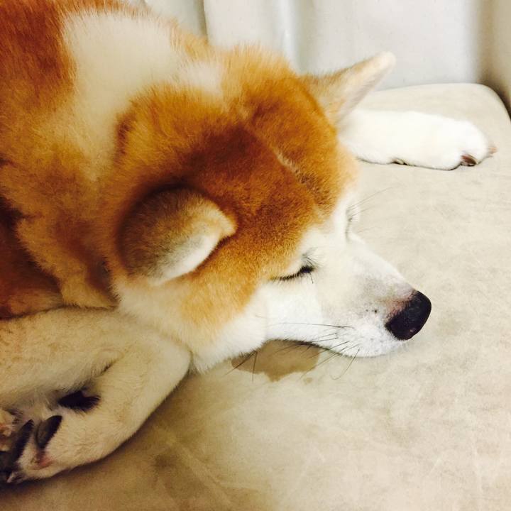 Bd673f15 a774 4c5a 89c2 5e4a34ddc9b4