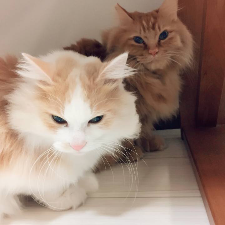 Bd67ec66 5d9e 4ef6 9e3e 1109276c47cd