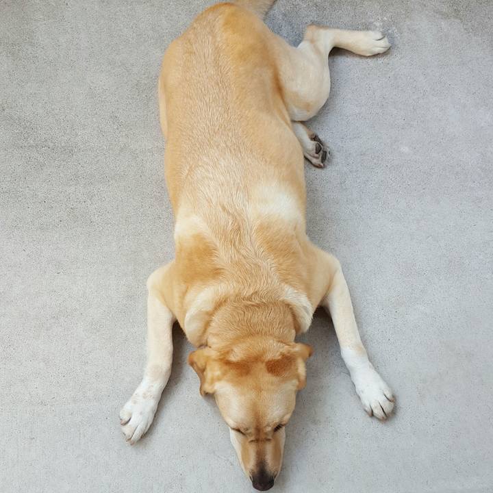 Bd681da0 0631 4dfe ad25 8e4d85297a18