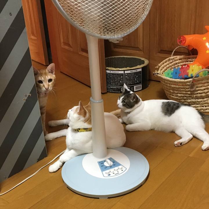 Bd690572 ae23 45e9 a339 9e51f5cb023e