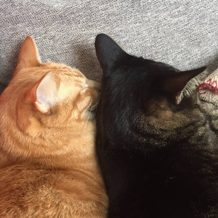 Bd69fc48 fc52 47fb 8102 9c982f242744