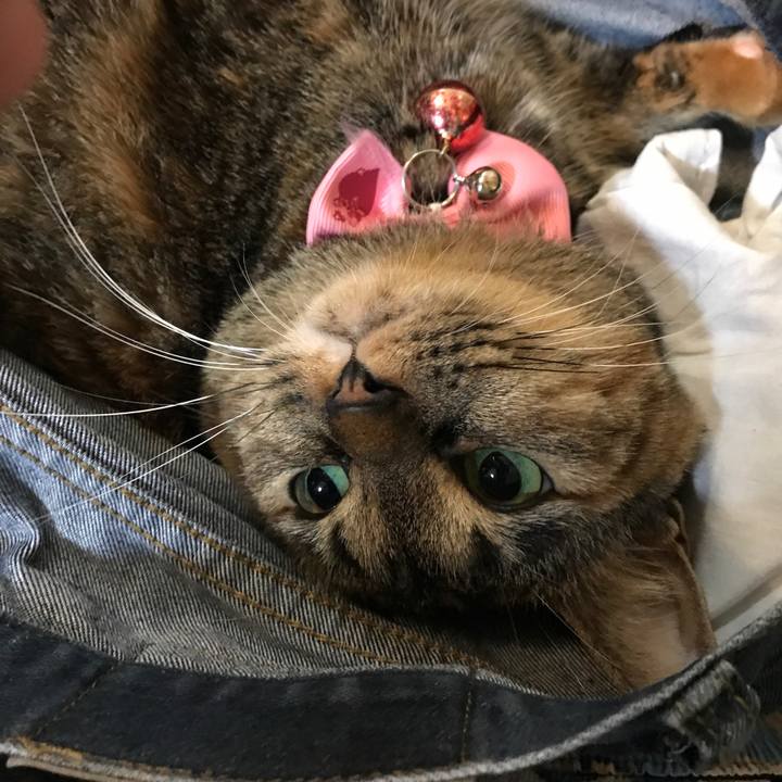 Bd6a0954 e6db 49ca a268 5db0d5b45df0