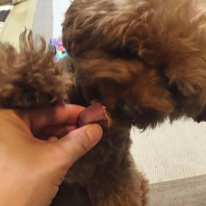 Bd6a34b6 d8f6 4a58 aeff d78d1ab85b10