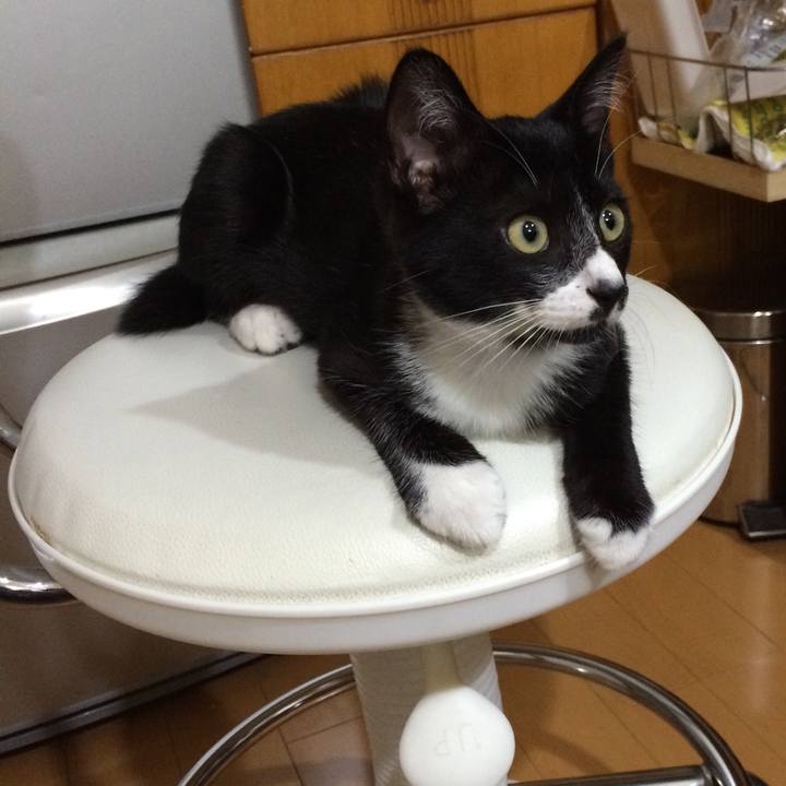 Bd6a9ab1 0ec0 4177 9fe6 67ac42b300cc