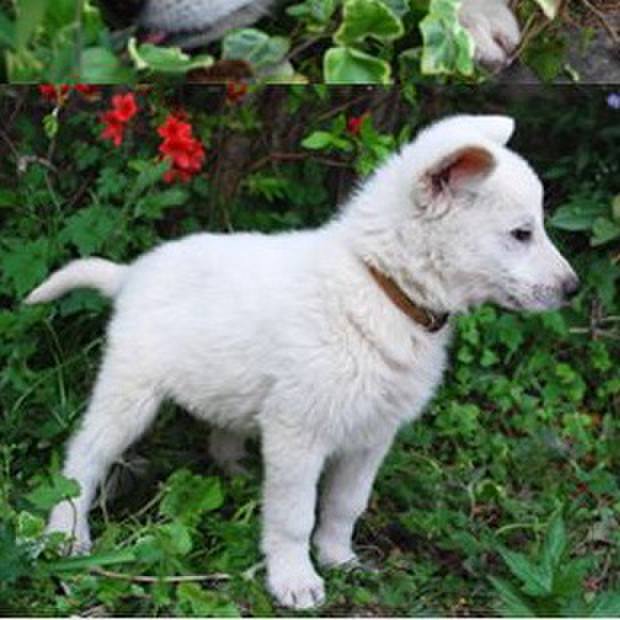 Bd6ad99f 74e8 412c a8ce d648fd9c4666