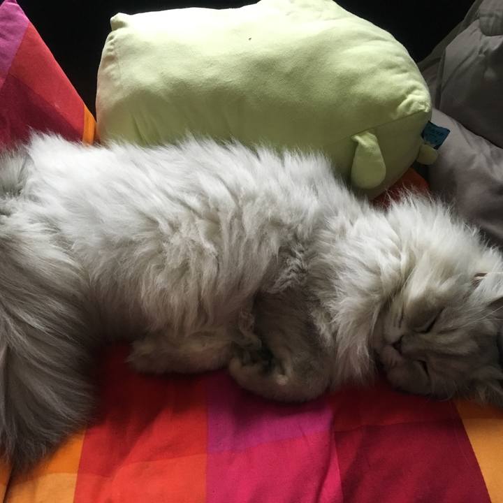 Bd6bd1f4 f8f4 43e8 b45f d5abb2f97631