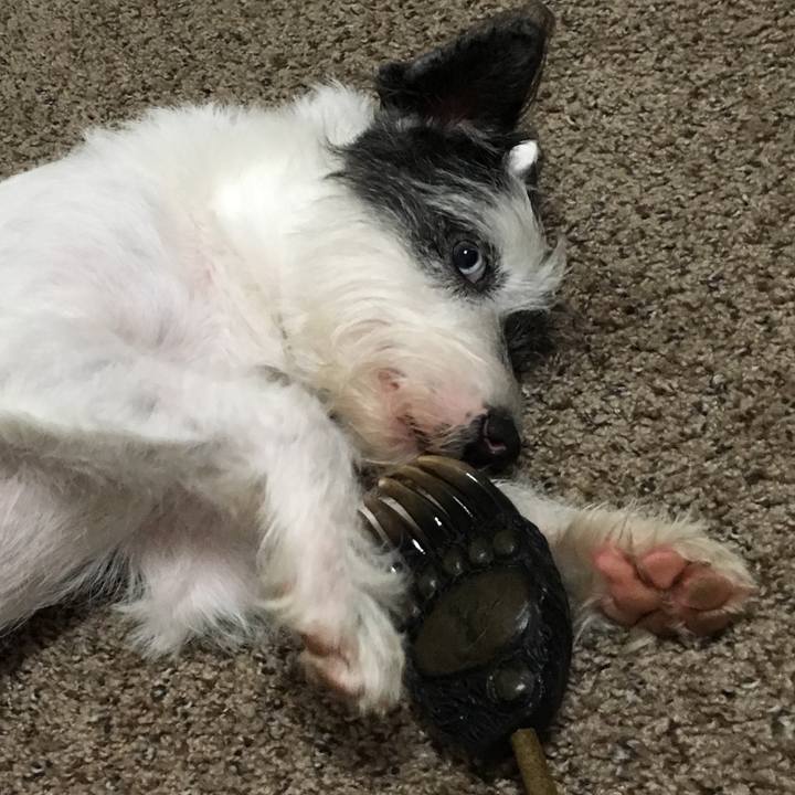 Bd6c34d7 e4ec 4472 a55a 9c547cd567d8