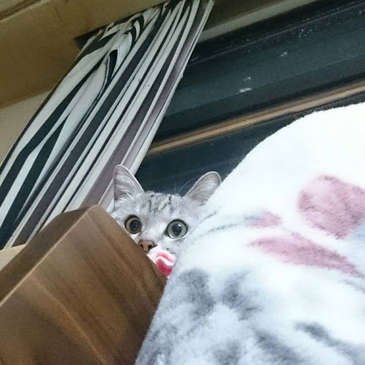 Bd6cffe6 5a14 4b4c aa65 719c778156ef