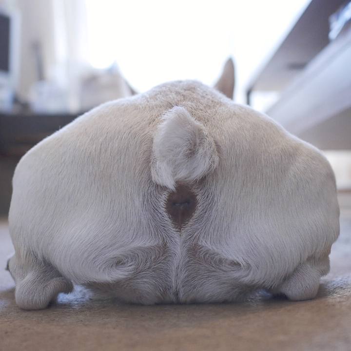 Bd6d971d d87c 4ab3 9eaa 92ee580ca895