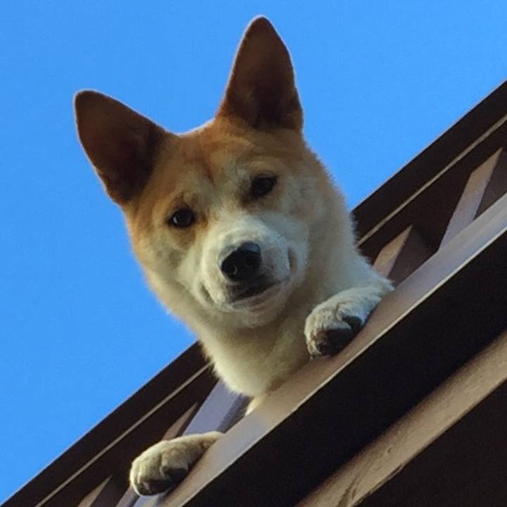 Bd6da721 9fb1 4eb1 b6fe 29d7ccf6b009