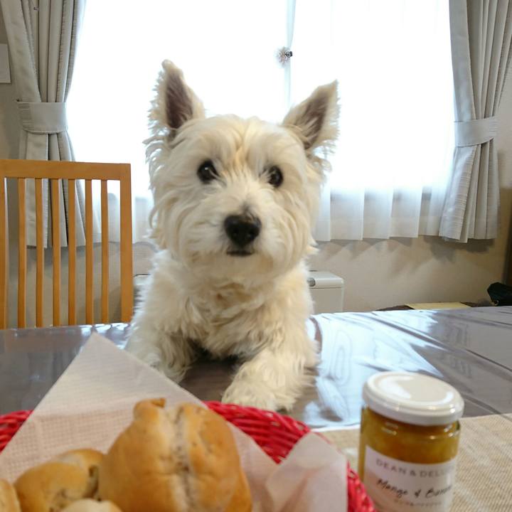 Bd6e0a46 a0e7 42a6 a1fd 3ab2772032e8