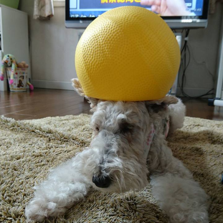 Bd6e2716 7633 45fd a29d c985c1af8d10