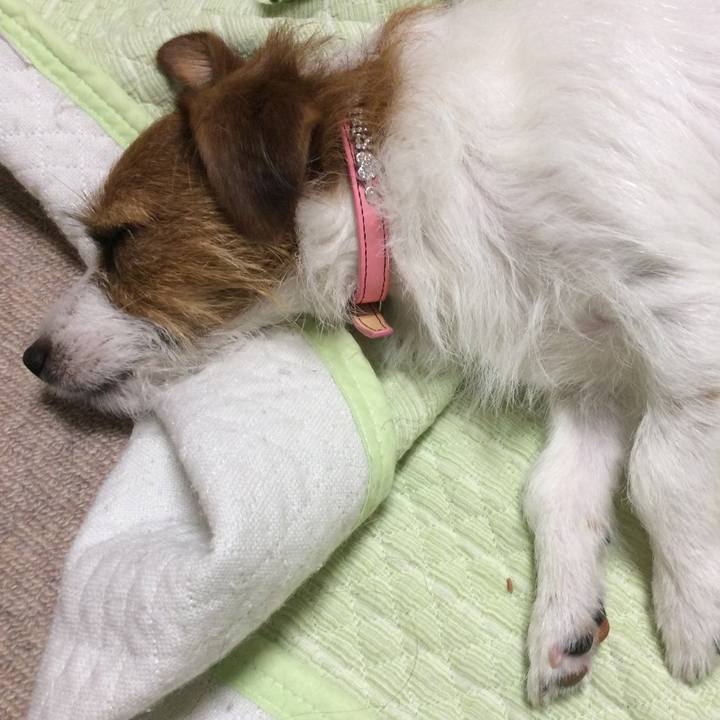 Bd6e94af 9308 409a be00 1d7908ac13bb