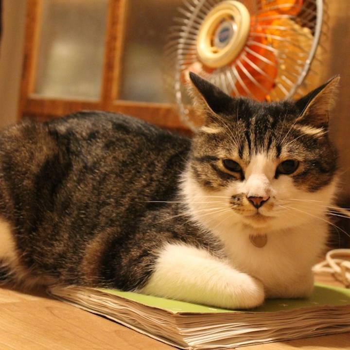 Bd6ea9a6 c94c 42fd a1a6 b4a52f46964c