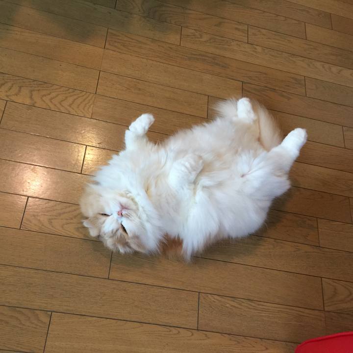 Bd6ec752 1a23 485c abe8 49605401e9e7