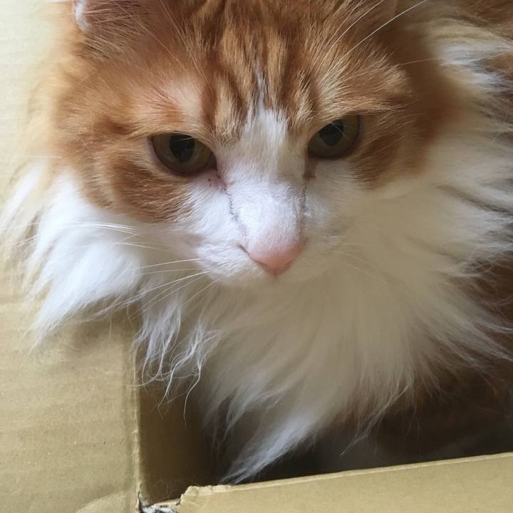 Bd6ed2f2 d595 42f5 b505 411ce25fcbb3