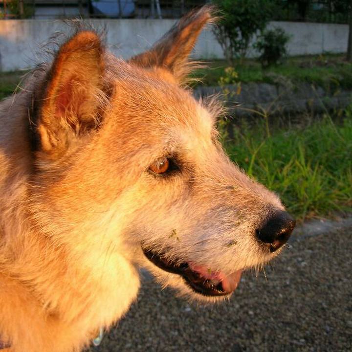 Bd6f061c 158a 4878 b9f3 c3bf20bb2b05