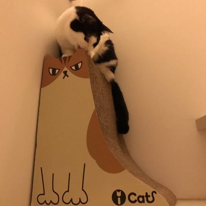 Bd6f6366 363f 46e7 b950 a7b7dbedd362