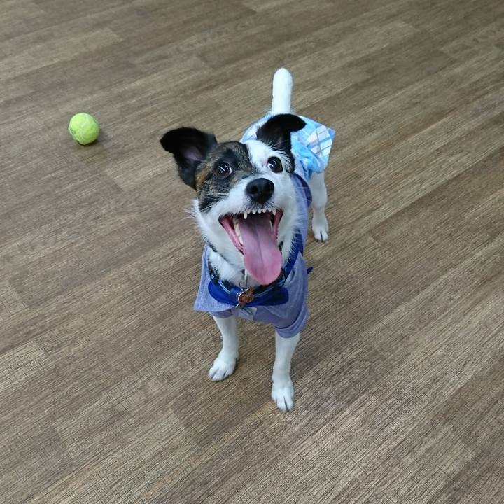 Bd6f6618 f300 4ec1 bc9d c4148f190adc