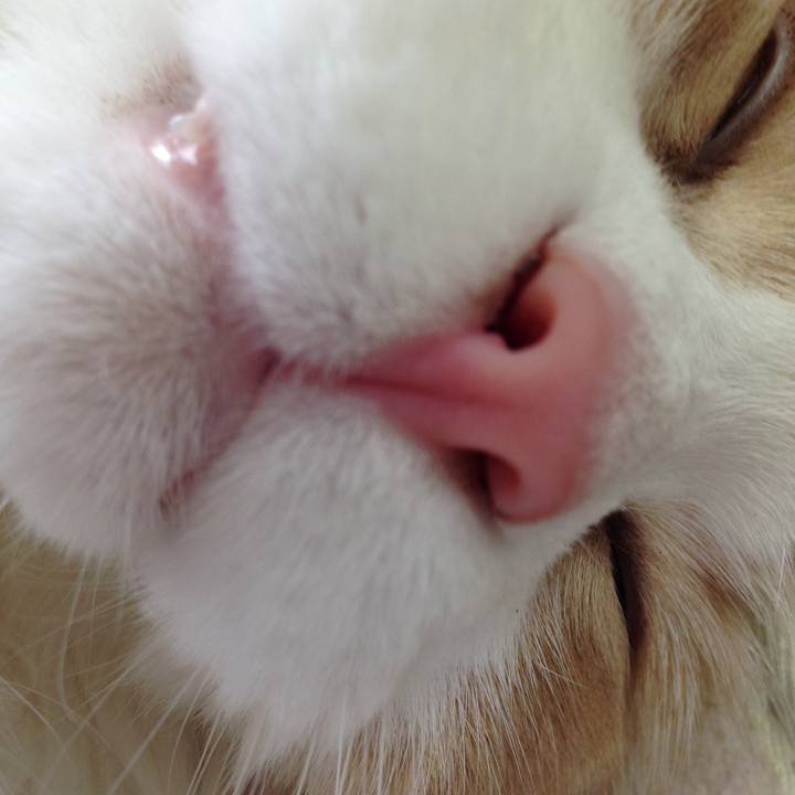 Bd6f8b98 f3ac 4611 a3d0 cbbf53c600b6