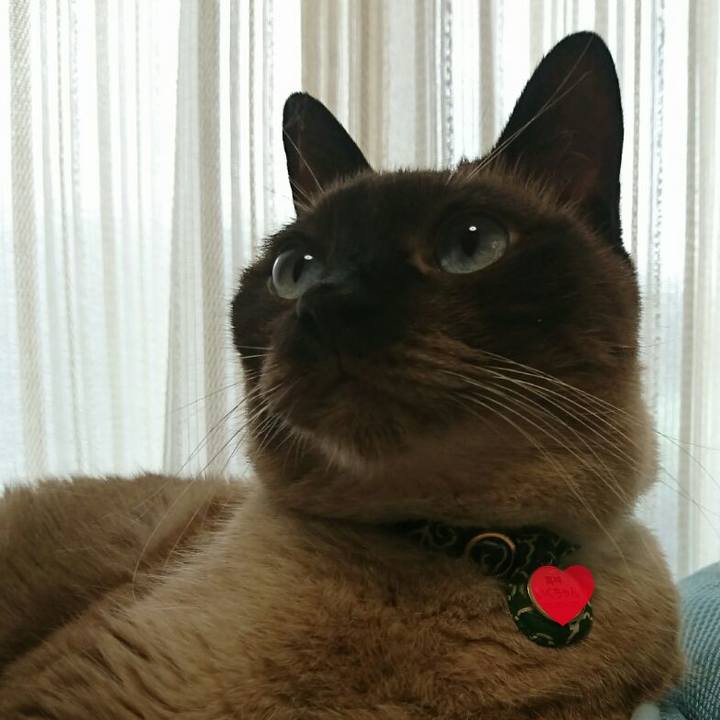 Bd6fe526 f6a7 4f1c bf59 2b02fa4fdd72