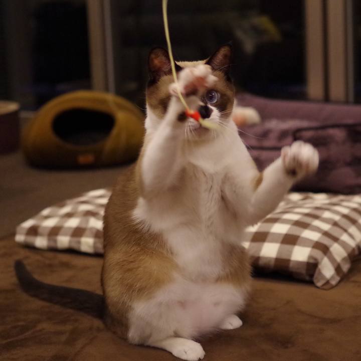 Bd703373 8c90 4f5d ab59 f16f5e704984