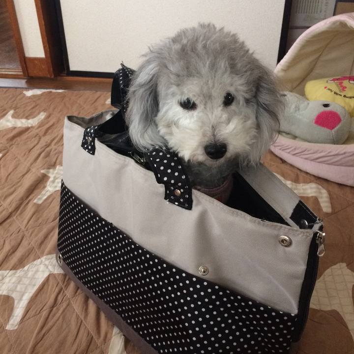 Bd70bf77 669f 4926 965f a68e04a254ad