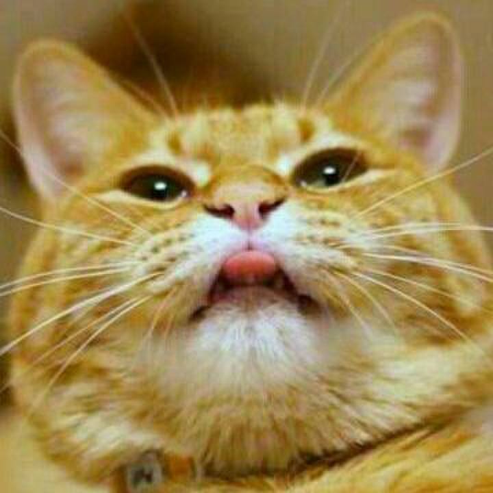 Bd72b186 4777 4541 a984 16e6df800d2e