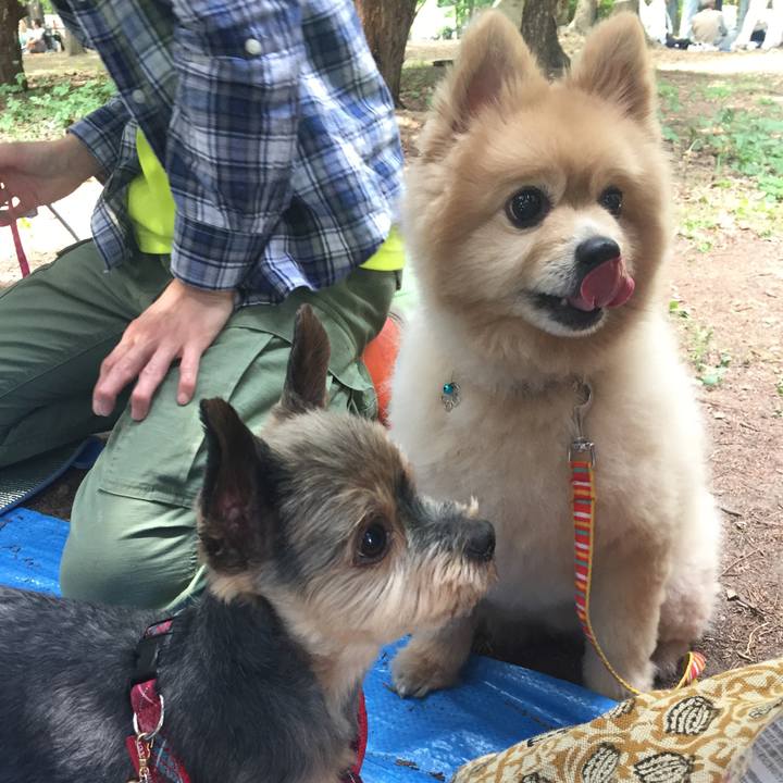 Bd72c450 6525 473e 91f6 595309df4b85