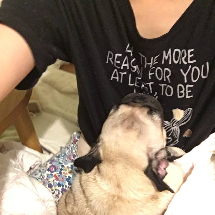 Bd72e03d 8aff 4761 a1f3 bab51ee80dda