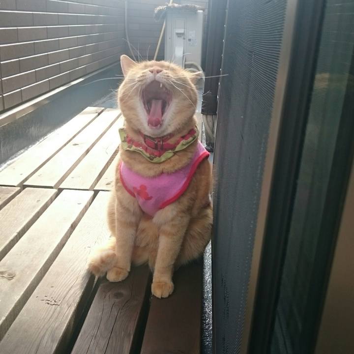 Bd731cbc 98d7 4627 910b cce0ce0d3aaa