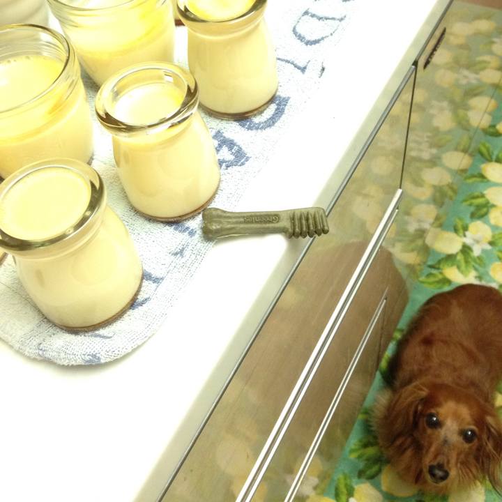 Bd73219c 6bbd 416c ae9e 85865d605f8d