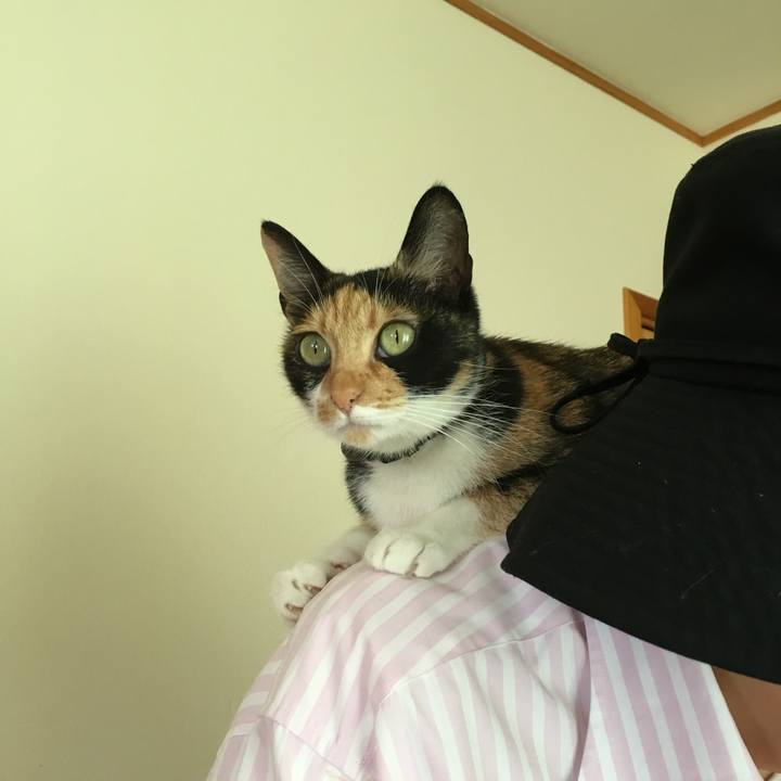 Bd742a15 872a 4b31 acc2 3e24ce448373