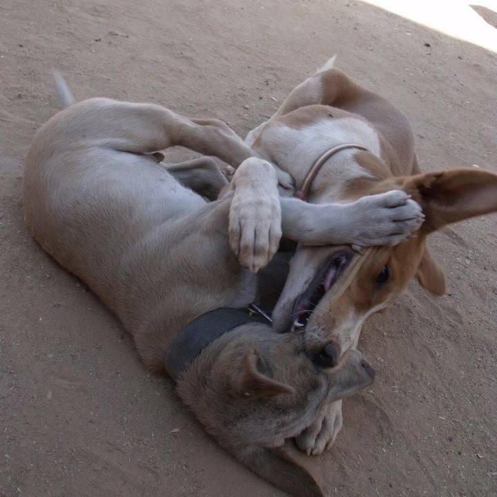 Bd746797 1d58 4ffd 801c 1190f621146a