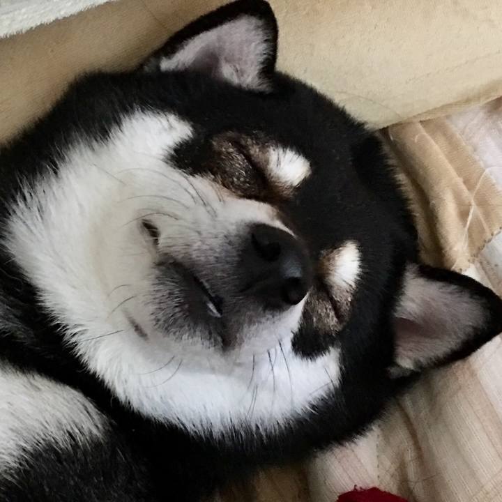 Bd748187 04cc 483c 97b1 fc146d020ce4