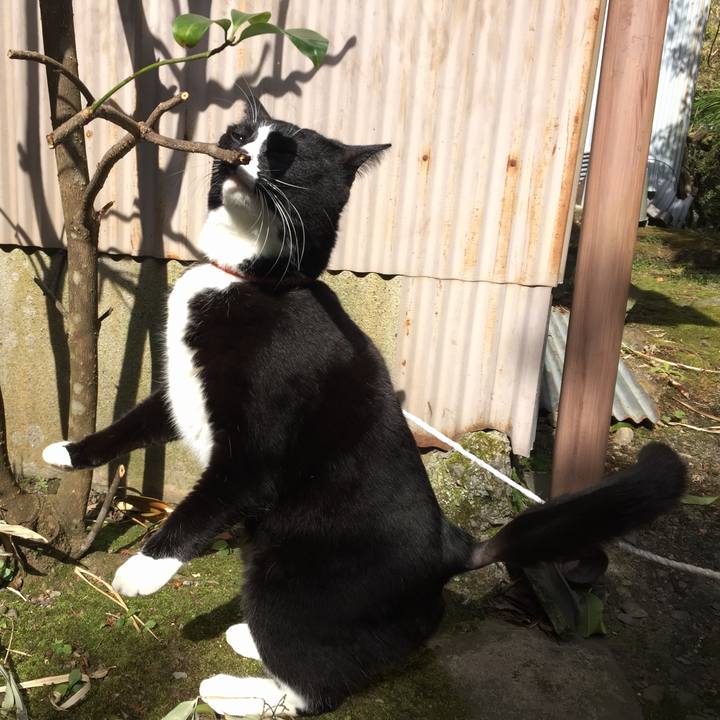 Bd754ad1 2ead 448f 8eee 576a1c0194d7