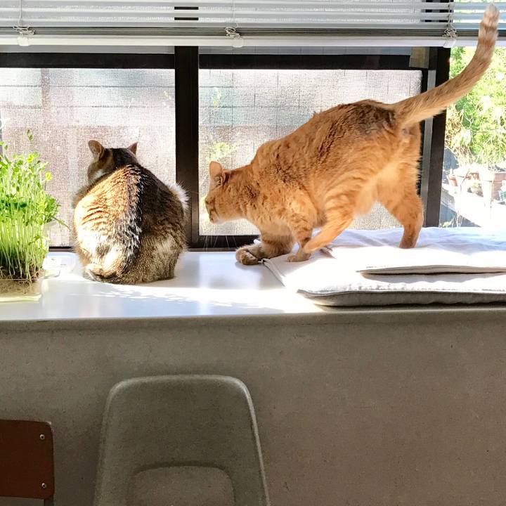 Bd75f4e8 db98 4ba8 9cb8 e0b56bfec54a