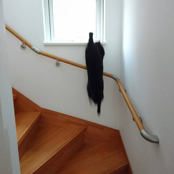 Bd763695 d6bb 4b8d 8241 b6a3fae286b7