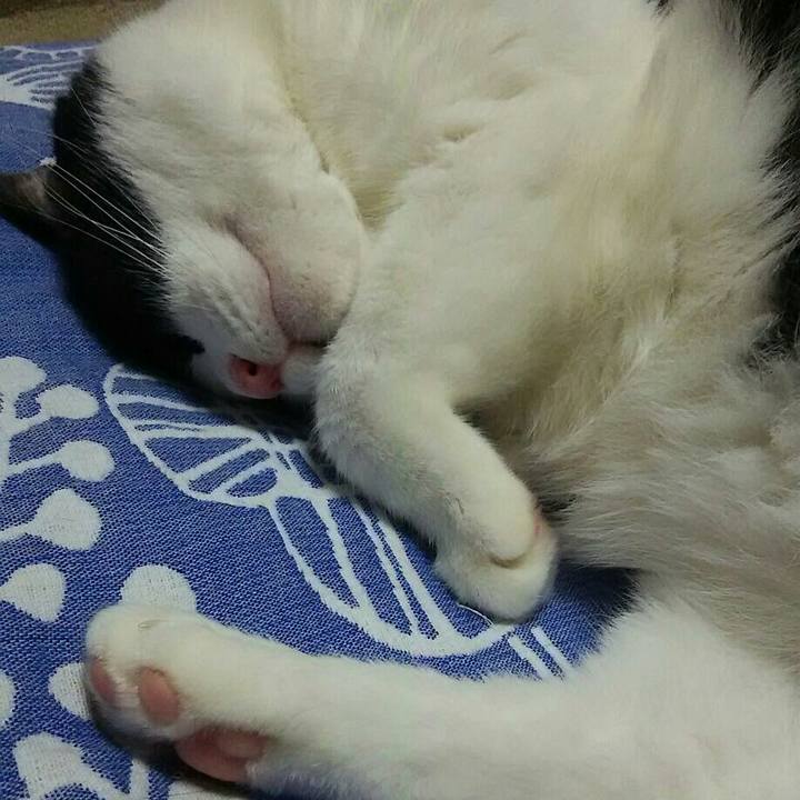 Bd76486a d8b3 47d5 93df 5304b5dd1775