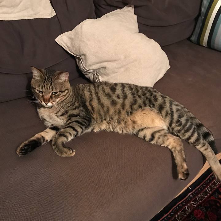 Bd76915d af7e 43b4 b823 c75e11106d9b