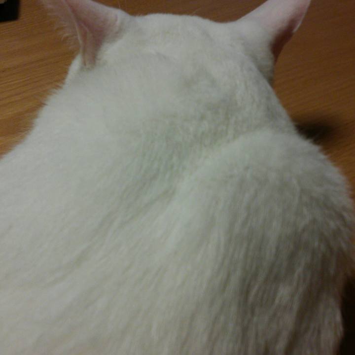 Bd774e24 7925 40f4 9294 68a7a48671e8