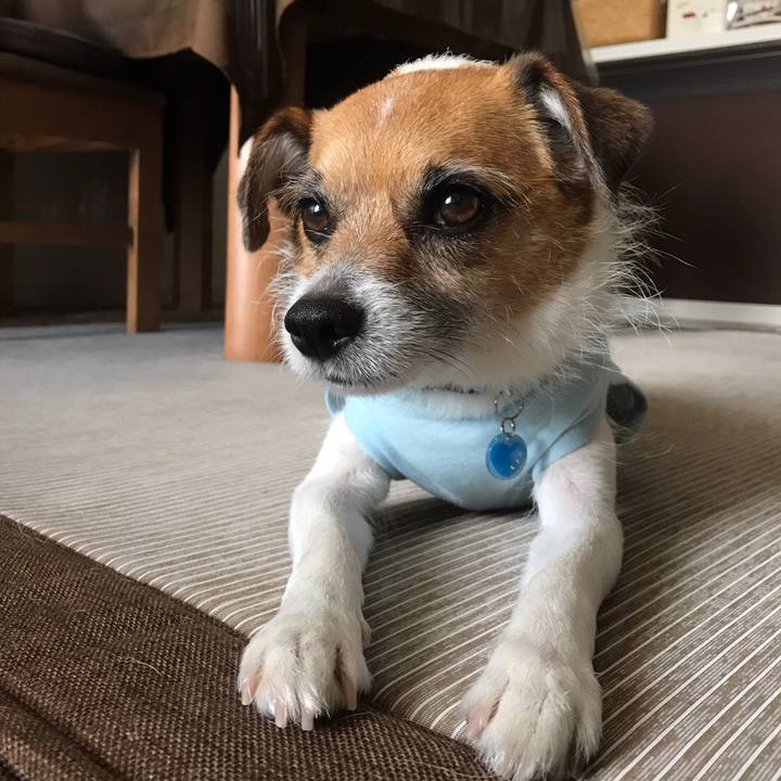 Bd785d4d edaa 4bfc b2f3 b1dc03a5afd7