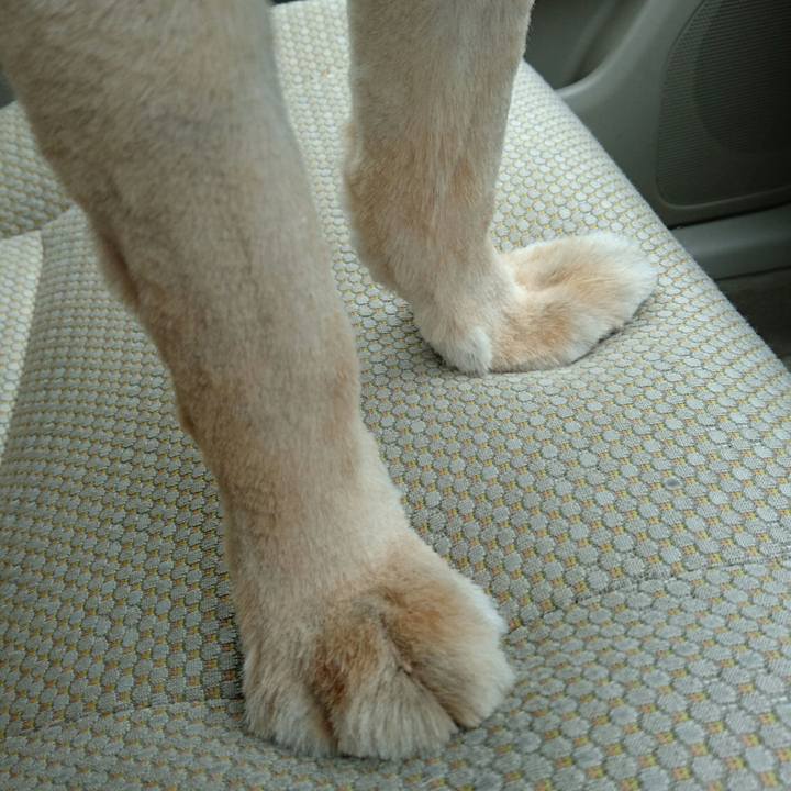 Bd785eb1 e005 486b b418 461c7664929e