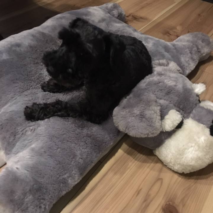 Bd78880d 7b66 4dc3 9a46 4d4ab9c4cc91