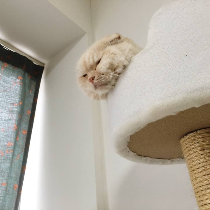 Bd78ad08 d44f 447d b0e0 f900632c60a0