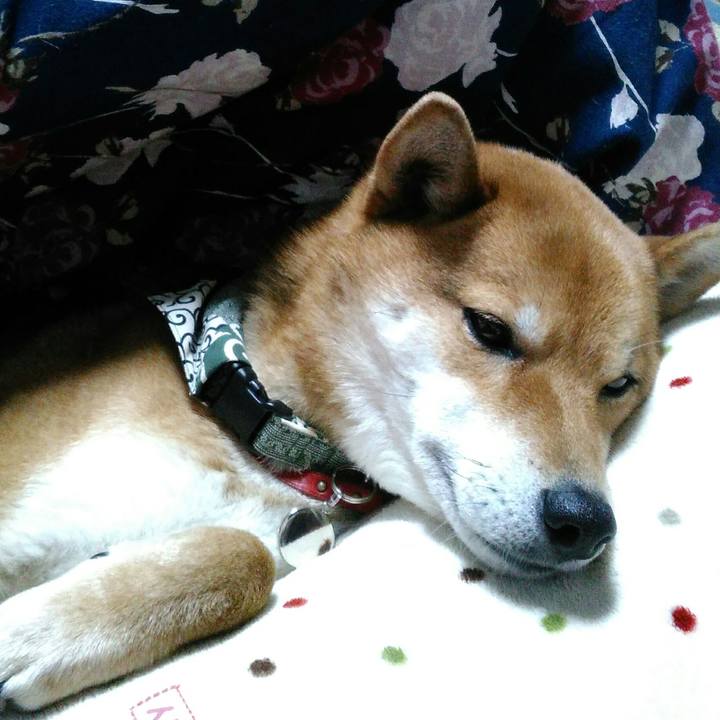 Bd78be95 916b 4615 aac0 62cf6007f8af