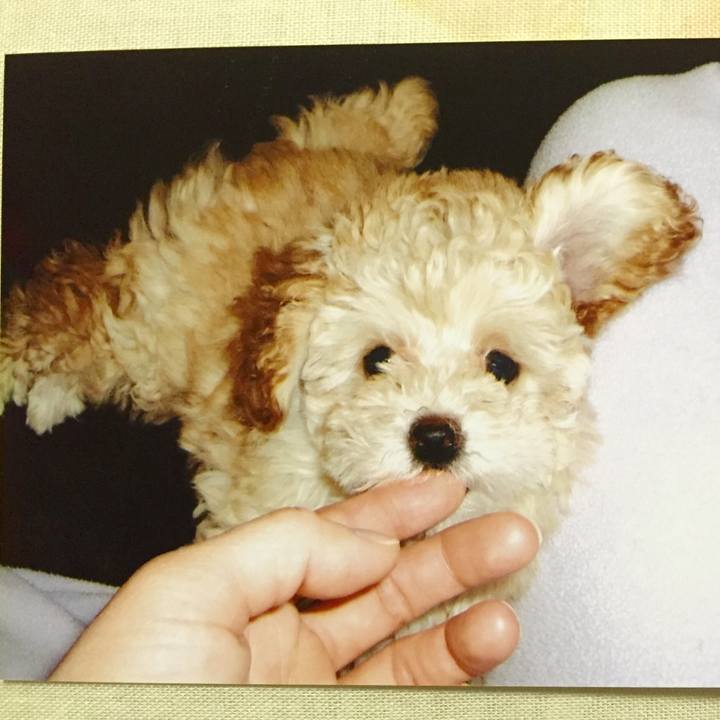 Bd78c69c 5a78 4ed4 aafc 847b05c4cdf2