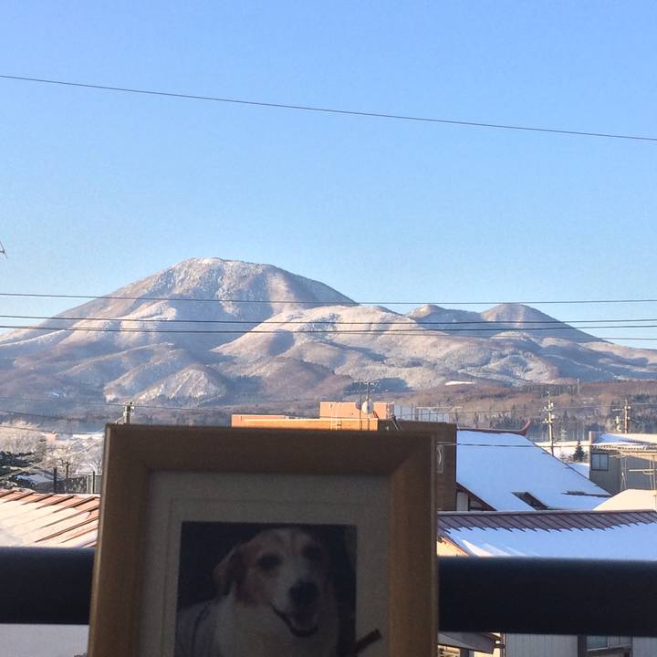 Bd78c891 2a2a 4e44 b845 cb75835c6667