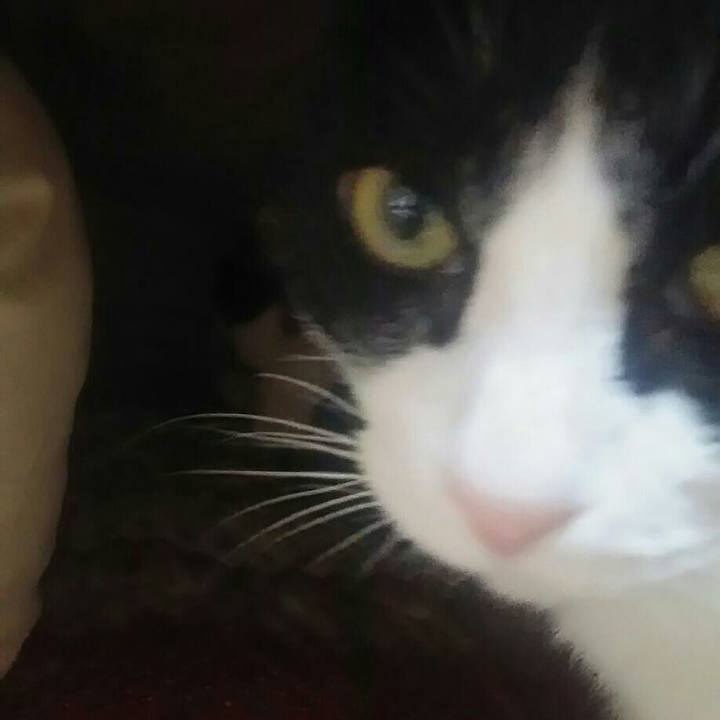 Bd78d596 3a4a 4e0c b26c baa3a53ea973