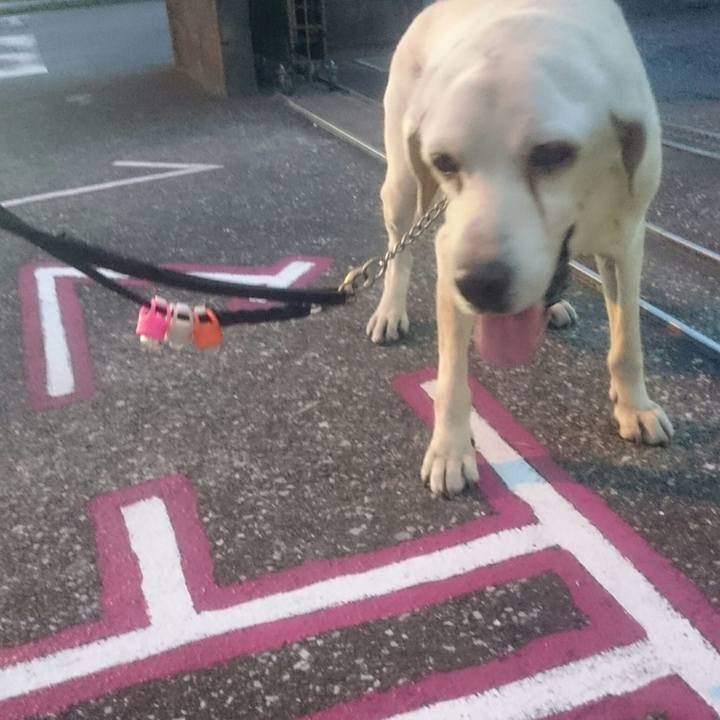 Bd79736e eefb 409a 90a7 d9b46aa3059b